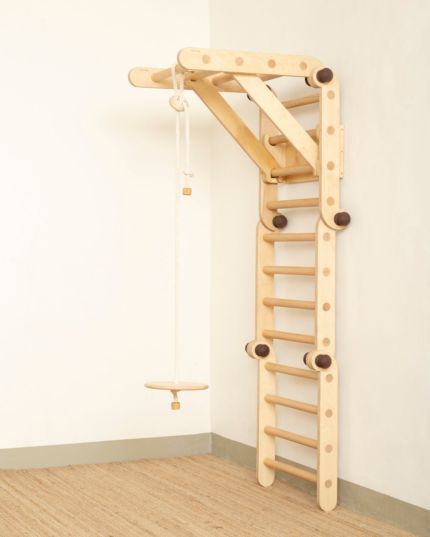 Disc Swing