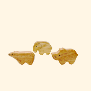 Brainsmith Safari Shakers - Set of 3