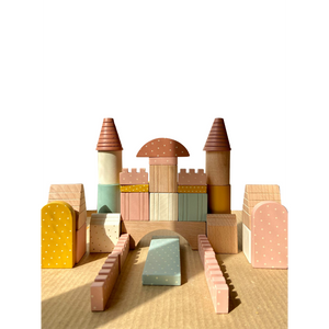Alcazie Playbox Wooden Building Blocks Toys Set