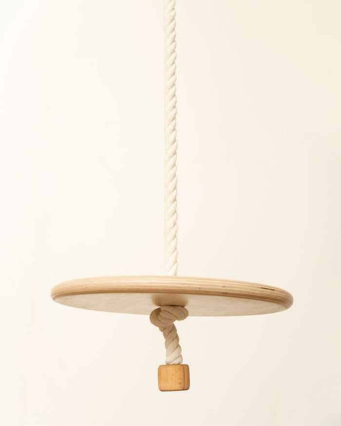 Disc Swing