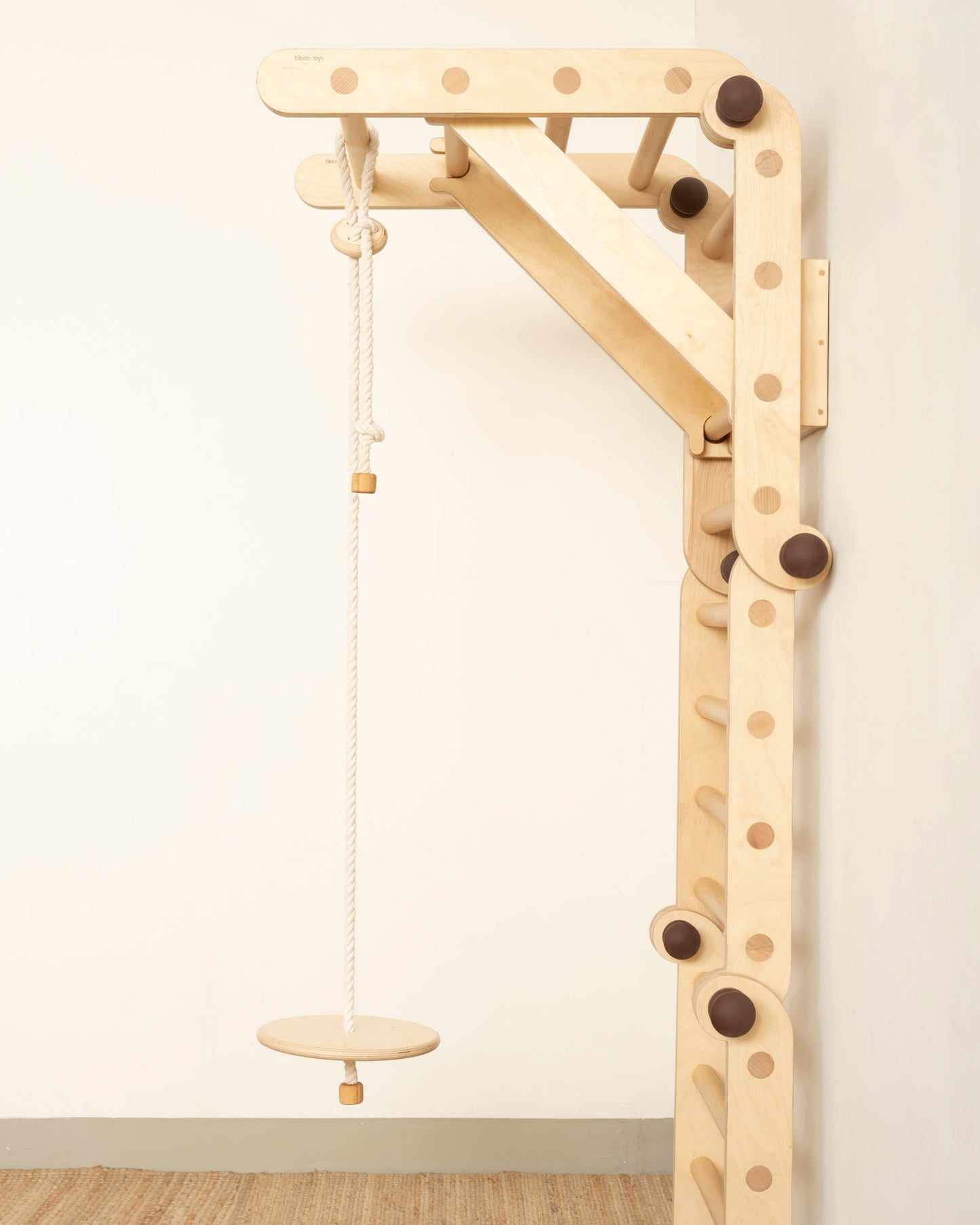Disc Swing