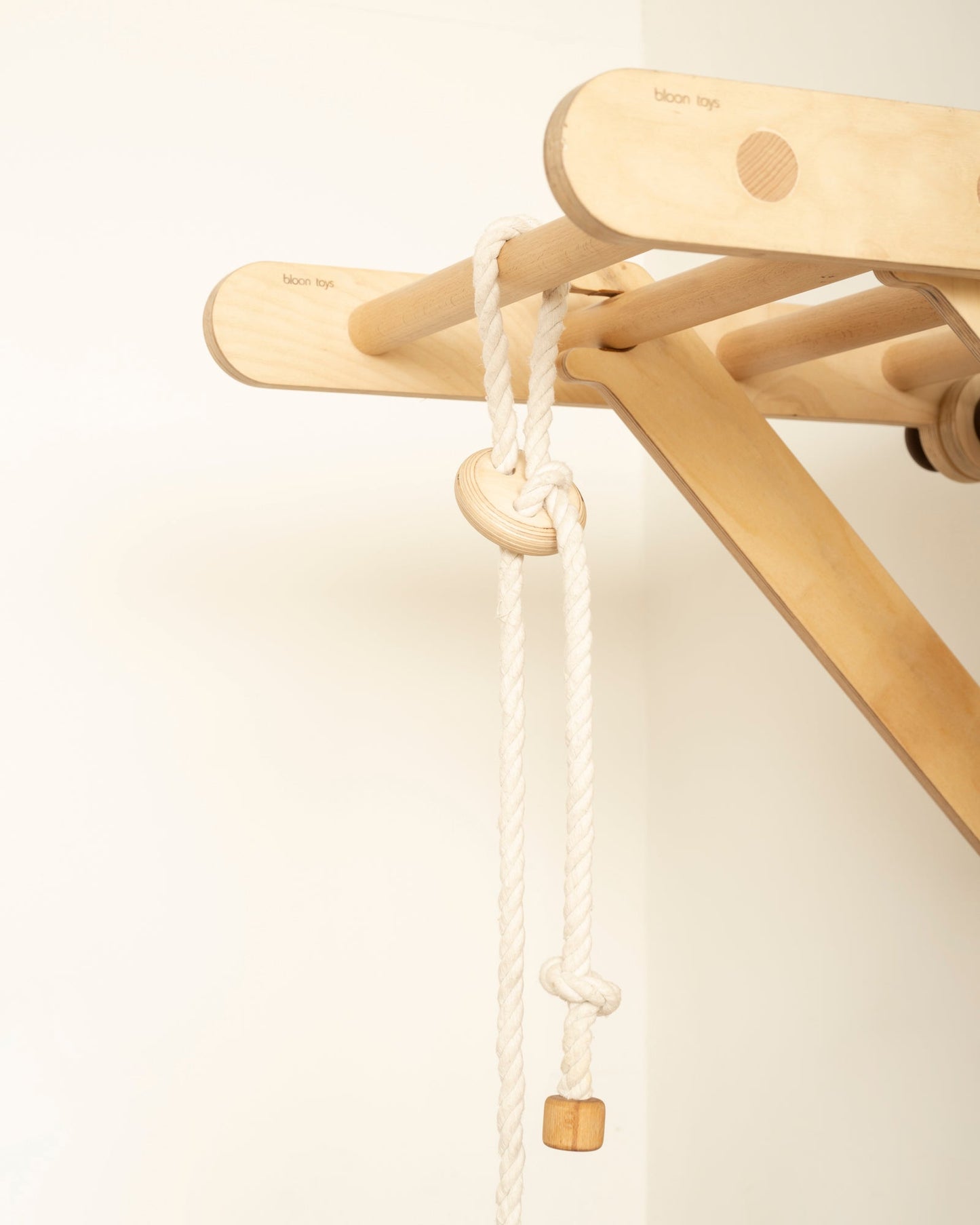 Disc Swing