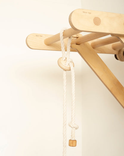 Disc Swing