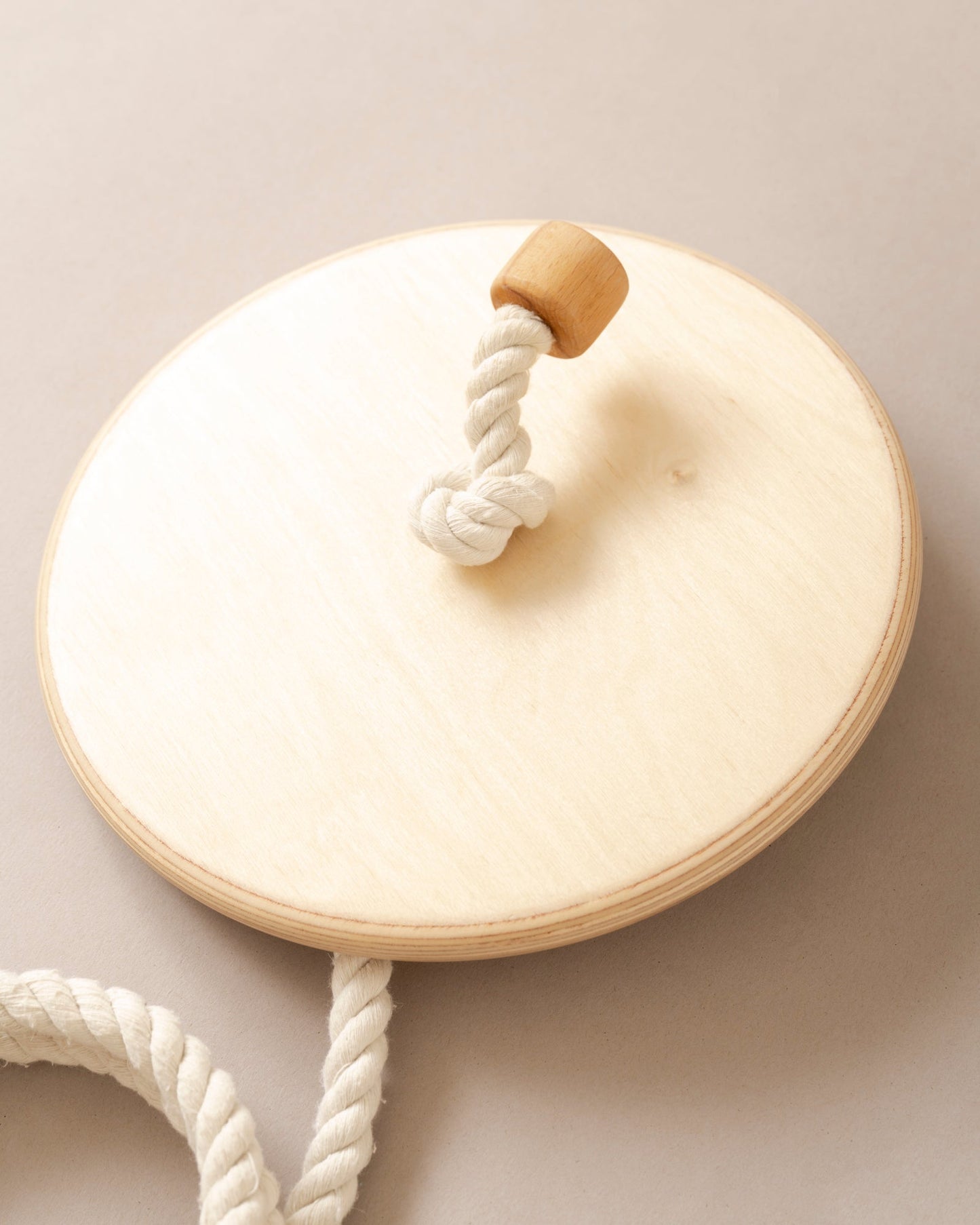 Disc Swing
