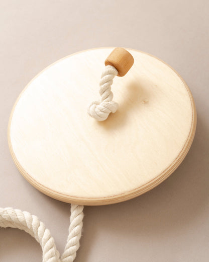 Disc Swing