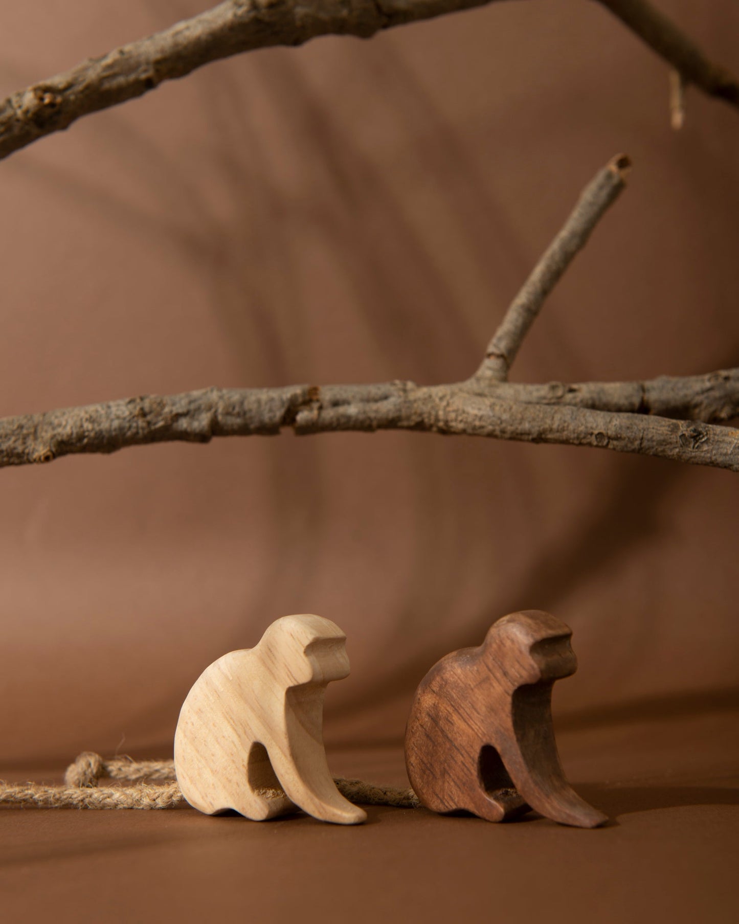 Wooden Monkey