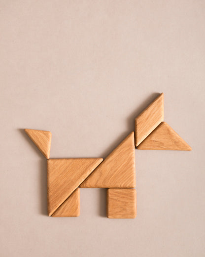 Tangram - Magnets