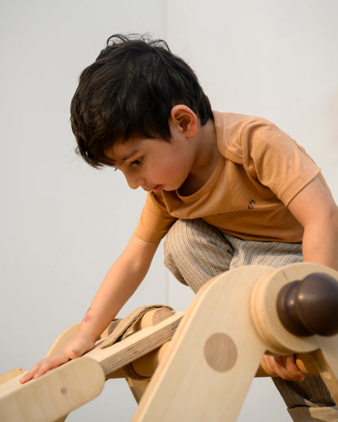 Starter Set | Pikler Mini Gym