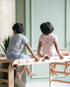 Forever Set | Pikler Jungle Gym