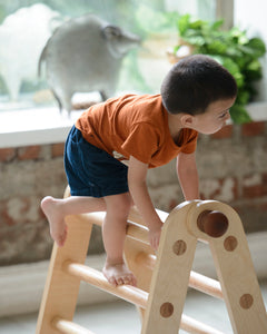 Bloon Pikler MINI (Starter Pikler Triangle)