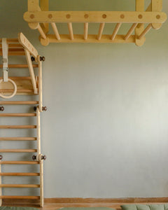 Aerial Set | Ceiling Pikler Jungle Gym