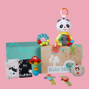 Newborn Play Kit With High Contrast Cards, Toy Rattles And Teethers 6 Items 0-12M - Multicolour