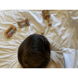 The Play Chapter Talking Shapes Rattle