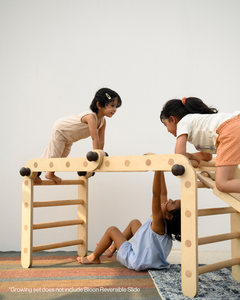 Growing Set | Pikler Jungle Gym